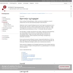 Bjørnedyr og bagegær – Københavns Universitet