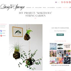 Design*Sponge & Blog Archive & diy project: "kokedama"...
