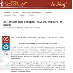 Les Tomates chez Kokopelli : saveurs, couleurs.. et colères