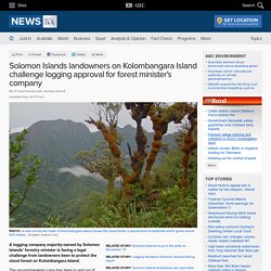 Solomon Islands landowners on Kolombangara Island challenge logging approval for forest minister's company