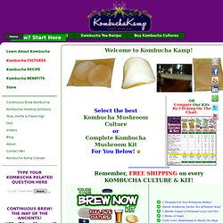 Buy Kombucha Cultures: Mushroom Scoby & Kombucha Starter Kit
