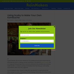 Using Scoby to Make Your Own Kombucha - Rainmakers Supply - Home Brewing