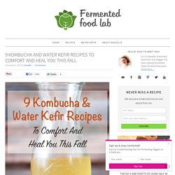 9 Kombucha And Water Kefir Recipes To Comfort And Heal You This Fall - Fermented Food Lab