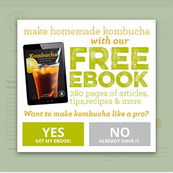 Kombucha Tea Starter Culture