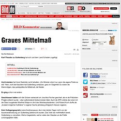 Kommentar von Kai Diekmann: Graues Mittelmaß - News
