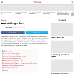 Komodo Dragon Facts - PetTime