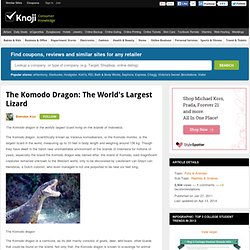 The Komodo Dragon: The World's Largest Lizard