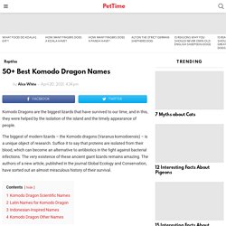 50+ Best Komodo Dragon Names - PetTime
