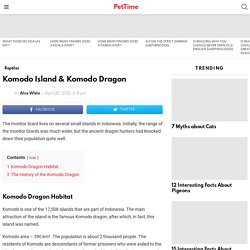 Komodo Island & Komodo Dragon - PetTime