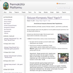 Solucan Kompostu Nasıl Yapılır? - Permakültür Platformu - Permakültür Bilgi Paylaşım Ağı
