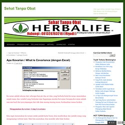Apa Kovarian / What is Covariance (dengan Excel)