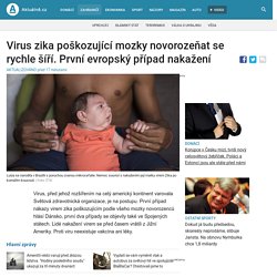 Virus zika poškozující mozky novorozeňat se rychle šíří. První evropský případ nakažení hlásí Dánsko