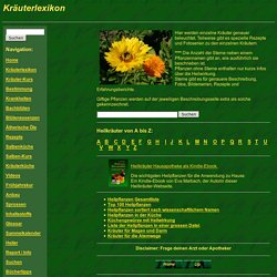 Kräuterlexikon - 600 Heilpflanzen