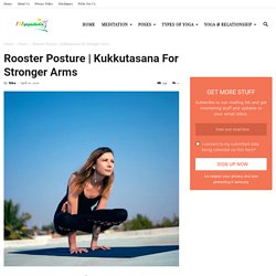 Kukkutasana For Stronger Arms - 101YogaStudio