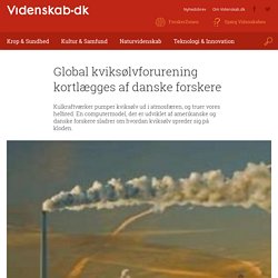 Global kviksølvforurening kortlægges af danske forskere