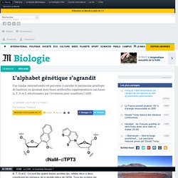 L’alphabet génétique s’agrandit
