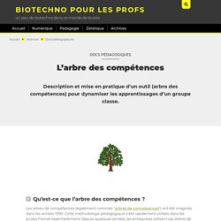 l'arbre des compétences