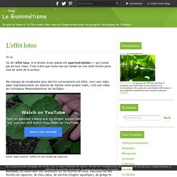 L'effet lotus - Le biomimétisme