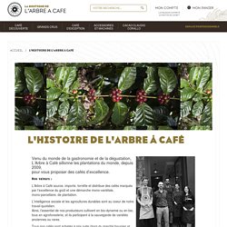 L'histoire de L'Arbre à Café - L'Arbre à Café