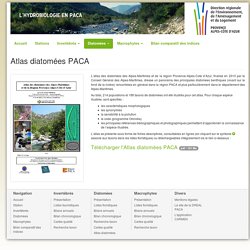 L'atlas des diatomées de la région PACA
