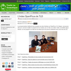 L'index OpenPicus de TLD