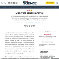 L'univers sonore animal