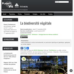 La biodiversité végétale