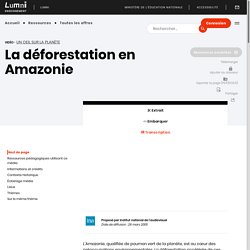 Enseignement - La déforestation en Amazonie
