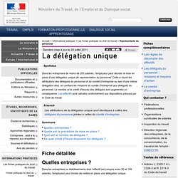 La délégation unique