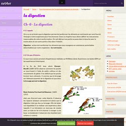 la digestion