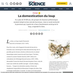 La domestication du loup