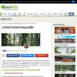 La forêt et le bois français pillés