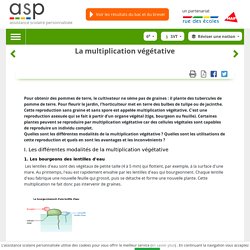 La multiplication végétative - Réviser une notion - SVT - 6e