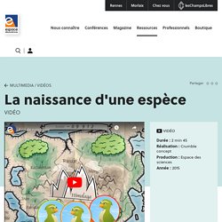 La naissance d'une espèce