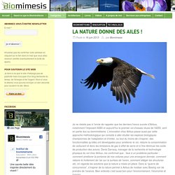 LA NATURE DONNE DES AILES ! - BiomimesisBiomimesis