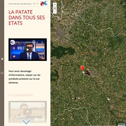 La patate dans tous ses états