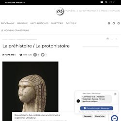 La préhistoire / La protohistoire