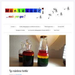 La rainbow bottle – Montessori … mais pas que !