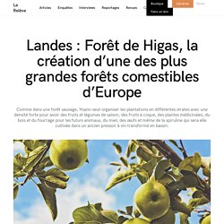 Landes : Forêt de Higas, la création d’une des plus grandes forêts comestibles d’Europe