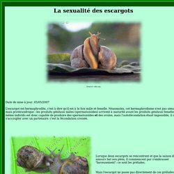 La reproduction des escargots