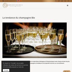 La tendance du champagne Bio