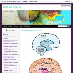 La théorie du cerveau triunique