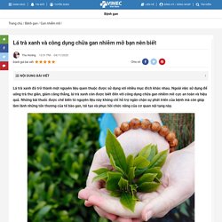 Lá Trà Xanh Và Công Dụng Chữa Gan Nhiễm Mỡ Bạn Nên Biết