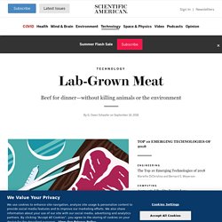 Lab-Grown Meat