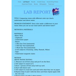 Lab Report