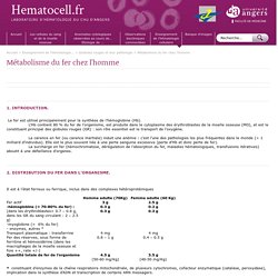Laboratoire d'Hématologie Cellulaire du CHU d'Angers