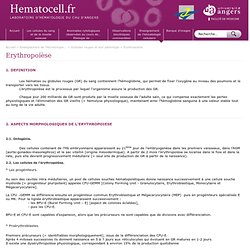 Laboratoire d'Hématologie Cellulaire du CHU d'Angers