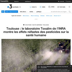 Toulouse : le laboratoire Toxalim de l'INRA montre les effets néfastes des pesticides sur la santé humaine
