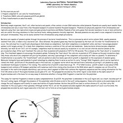 Laboratory Exercise