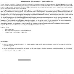 Laboratory Exercise
